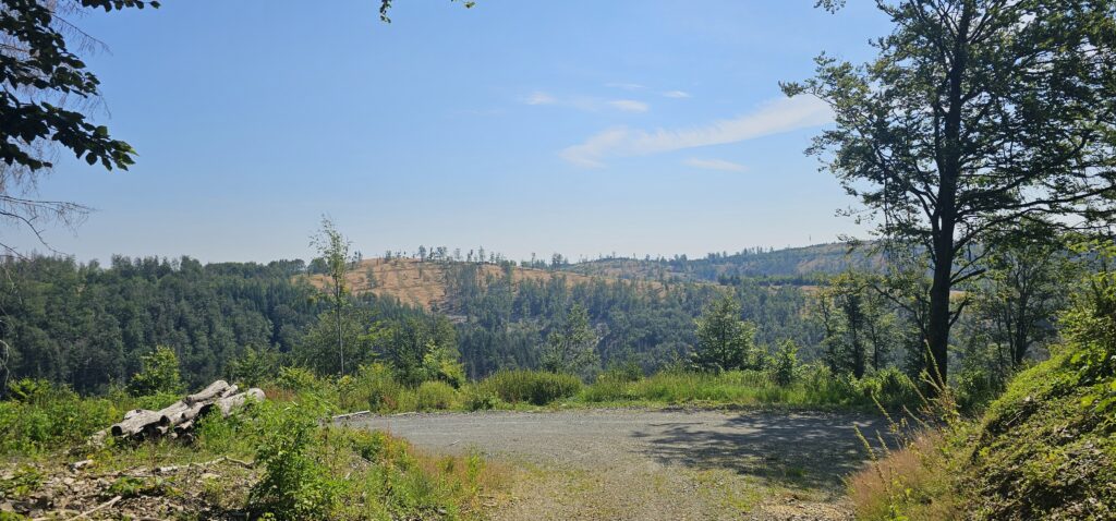 Blick auf den Röthengrund im Thüringer Wald